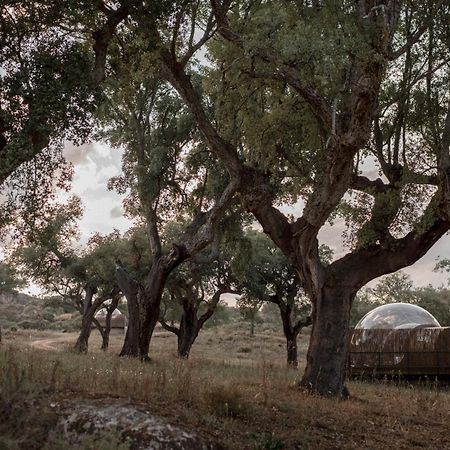 Finca El Cortinal Valencia de Alcántara Eksteriør billede