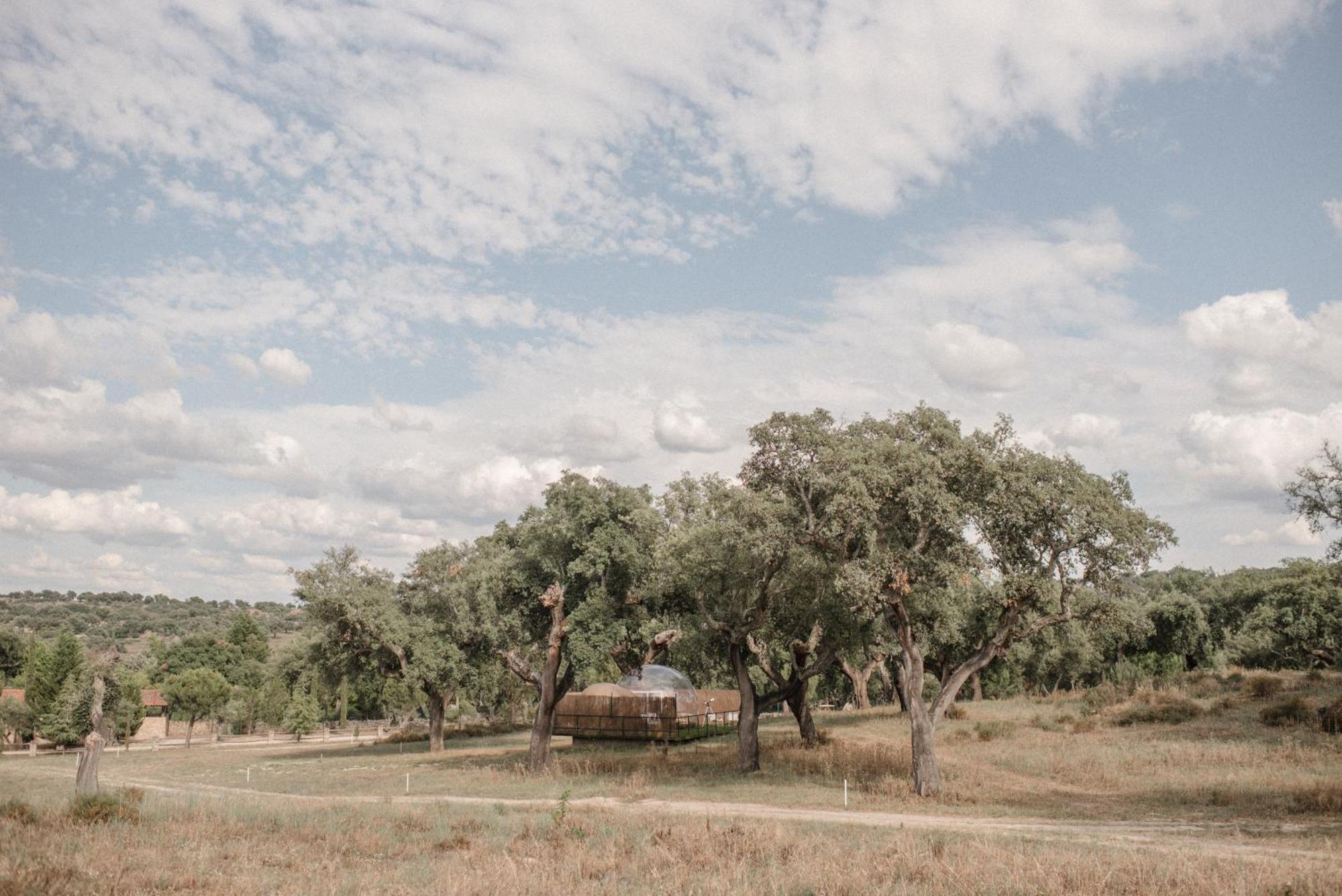 Finca El Cortinal Hotel Valencia de Alcántara Eksteriør billede