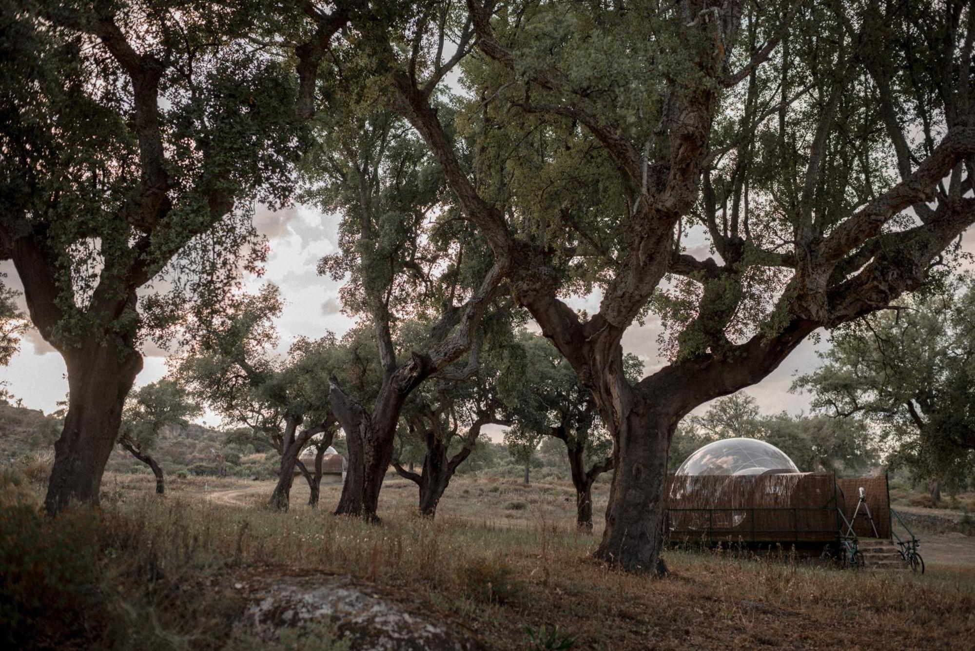 Finca El Cortinal Valencia de Alcántara Eksteriør billede