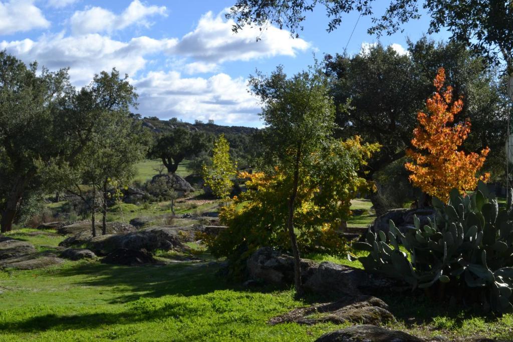 Finca El Cortinal Hotel Valencia de Alcántara Værelse billede